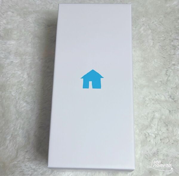 ペンライト BOYNEXTDOOR ボネクド 新品未開封 ペンラ
