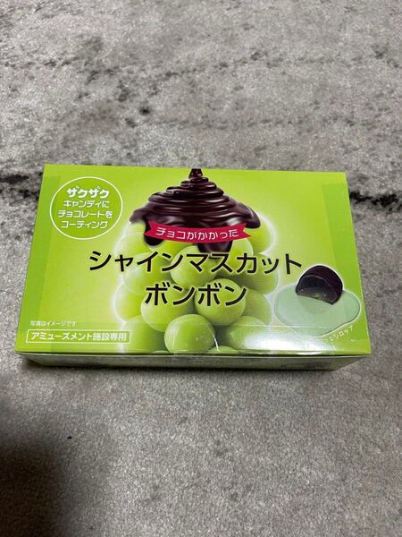 シャインマスカットボンボンチョコレート