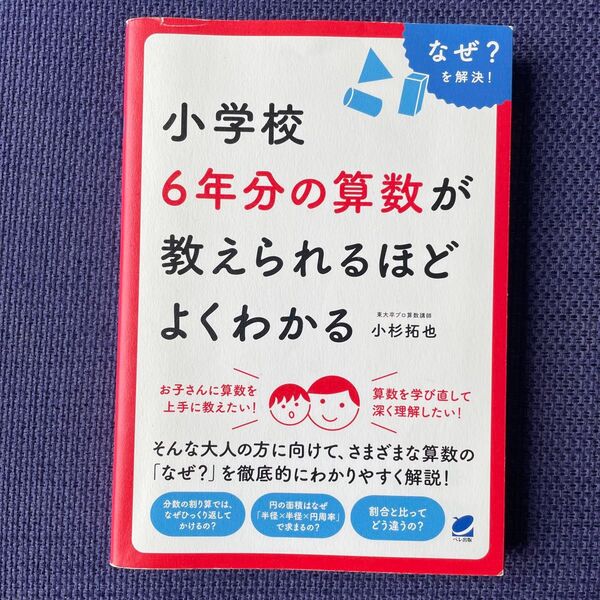 小学校6年分の算数が教えられるほどよくわかる