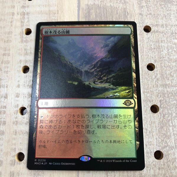 MTG 樹木茂る山麓 Wooded Foothills