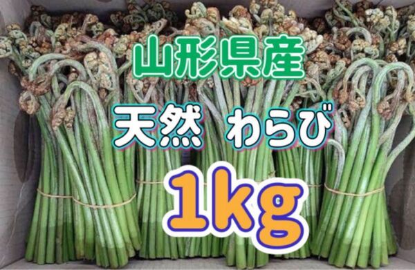 天然 わらび 1kg 山形県産 ※重曹付