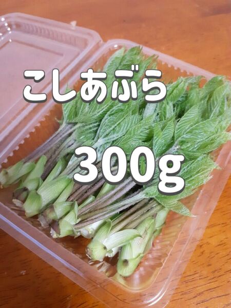 天然 こしあぶら 300g 山形県産