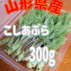 天然 こしあぶら 300g 山形県産