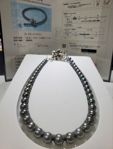 希少!真珠科学研究所【オーロラ オーシャンブルー】8.3mm-10.9mmブラックシェル付きクリップクラスプ☆ネックレス☆46cm