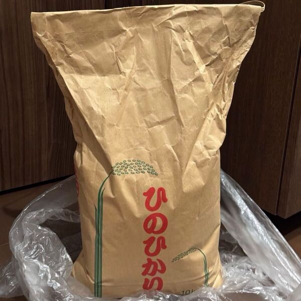 米 お米 ヒノヒカリ 熊本県産 令和6年産 ひのひかり 2024年新米
