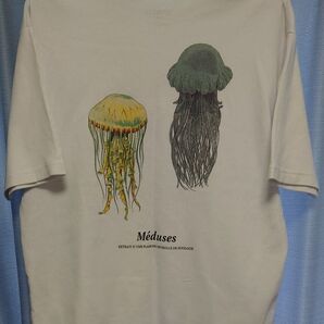 DEYROLLE UNITED ARROWS クラゲプリントTシャツ オフホワイト 着丈67cm 身幅57cm 少し厚手