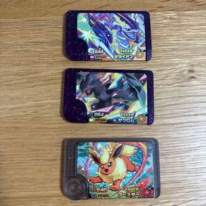 ポケモンフレンダ スーパートレジャー ミライドン ゼクロム ブースター