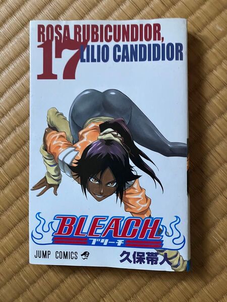 BLEACH 17 (ジャンプ・コミックス) 久保帯人/著