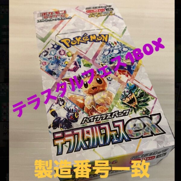 テラスタルフェス1BOX シュリンクなし