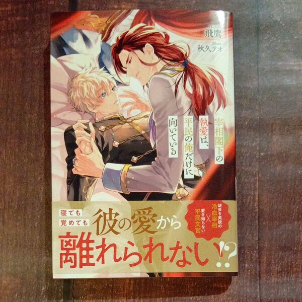 宰相閣下の執愛は、平民の俺だけに向いている (&arche NOVELS) 飛鷹/〔著〕