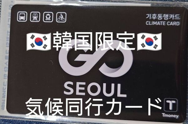 韓国限定 気候同行カード 交通系ICカード 乗り放題 韓国 ソウル