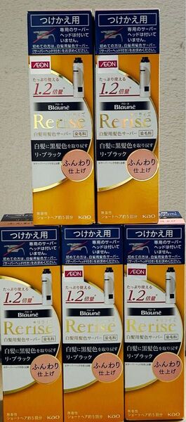 花王ブローネリライズ 白髪用髪色サーバー リ・ブラック (自然な黒さ) ふんわり仕上げ 男女兼用 つけかえ用 190g5点セット