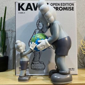 KAWS THE PROMISE GREY