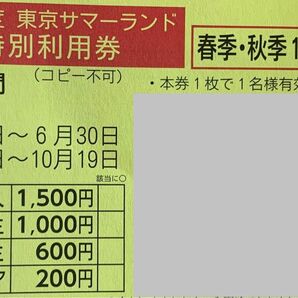 東京サマーランド特別利用券2枚 2025年4月5日〜10月19日まで春秋季1日券