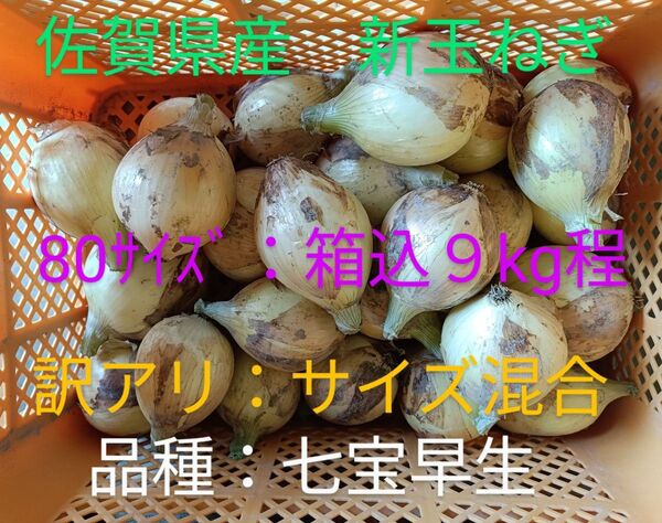 新玉ねぎ 佐賀県産 しろいし玉ねぎ 早生七宝早生 減農薬 サラダ用玉ねぎ 産地直送 農家直送 9kg 10kg 規格外 訳アリ