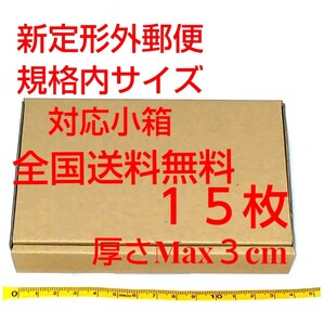 定形外郵便用小型ダンボール：厚さMAX3cm定形外郵便規格内サイズ