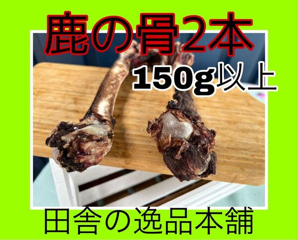 鹿の骨 ゲンコツ 2本150g以上 ストレス発散! 歯磨き効果やおもちゃとして♪
