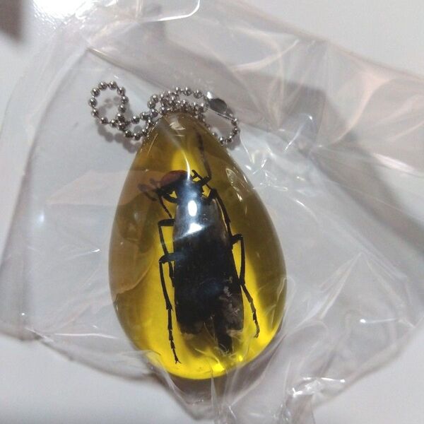 リアル 昆虫 コハク ボールチェーン キーホルダー ハンミョウ