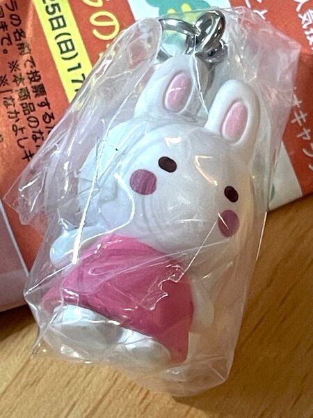 チアリーチャム サンリオキャラクターズ オールスターズ Part.1 めじるしアクセサリー ガチャガチャ カプセルトイ