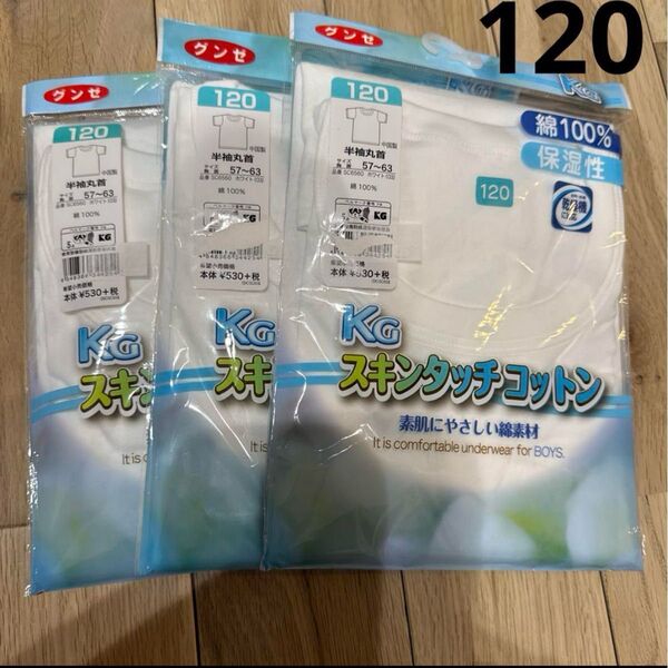 新品 グンゼ 120 男の子 半袖肌着 3枚 綿100% 乾燥機対応 インナー