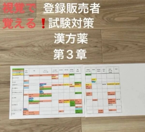 【即日発送】登録販売者 漢方薬体力早見表 試験対策