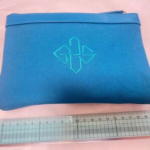ANA ビジネスクラス アメニティ 布製ポーチのみ(中身なし)ETITNGGER LONDON