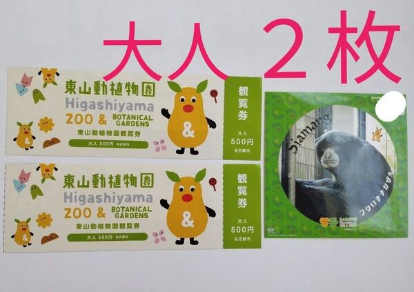 東山動植物園 チケット 大人2枚 東山動物園