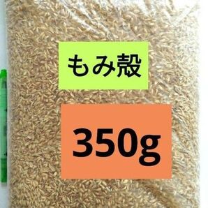 もみ殻 350g (2.9〜3L)籾殻 令和6年産