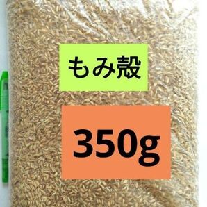 もみ殻 350g (2.9〜3L) 令和6年産 籾殻