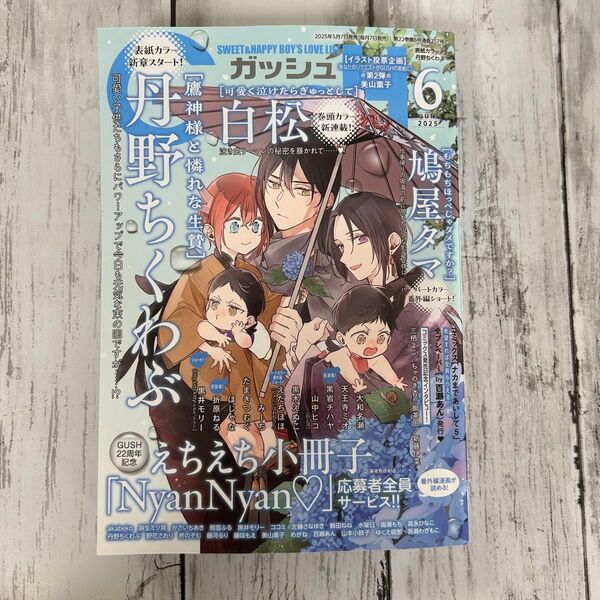 【BL 雑誌】・GUSH (ガッシュ) 2025年 6月号