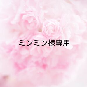 ミンミン様専用