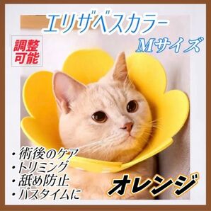 引でおらっ掻き防止 Sサイズ Mサイズ ピンク イエロー オレンジ調節可能 エリザベスカラー 猫 犬 ペット 軽量 傷舐め防止