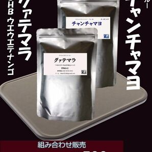 G23 チャンチャマヨ(有機栽培)+グァテマラ 250g+250g かねふと珈琲