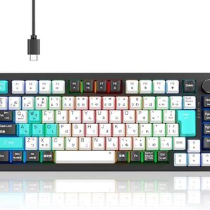 メカニカルキーボード ゲーミングキーボード 日本語配列とカナ印字一体
