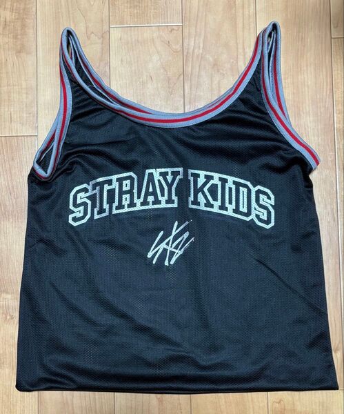 スキズ*アプグレ特典 メッシュバッグのみ*エコパ*DominATE*Stray Kids