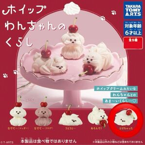 ホイップわんちゃんのくらし 【とけちゃった】