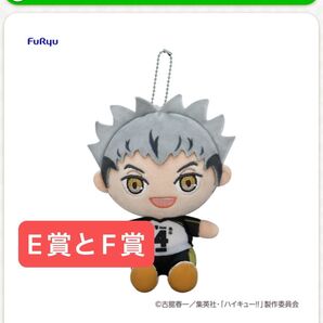フリューくじ アニメ「ハイキュー!!」 ぬいもっち E賞とF賞のセット売り