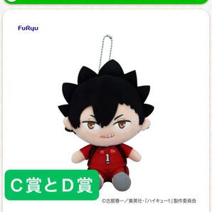 フリューくじ アニメ「ハイキュー!!」 ぬいもっち C賞とD賞