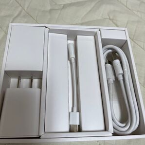 Acアダプタ cケーブル イヤホンのケーブル 楽天ミニの付属品 箱は送料の関係で除きます
