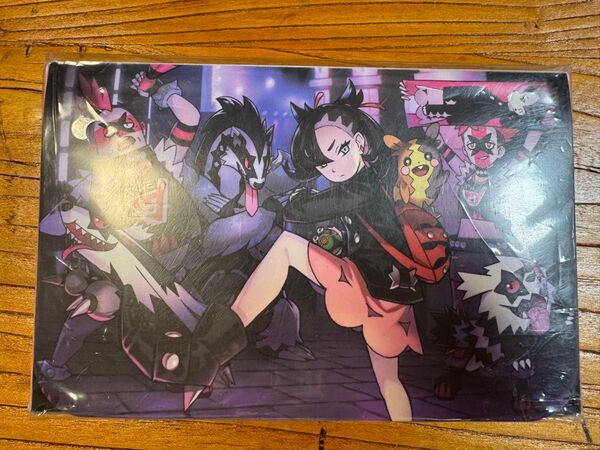 ポケモンカード マリィの決意 デッキケース 新品未使用