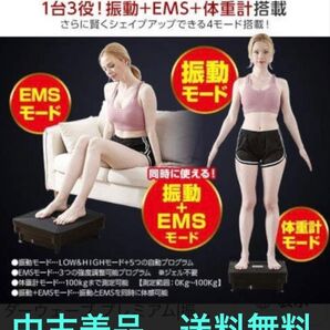 ◆中古美品◆ダブルワンダーウェーブプレミアム/振動マシン /E-HF003BB