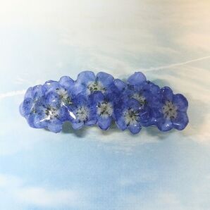 ネモフィラの花々バレッタ