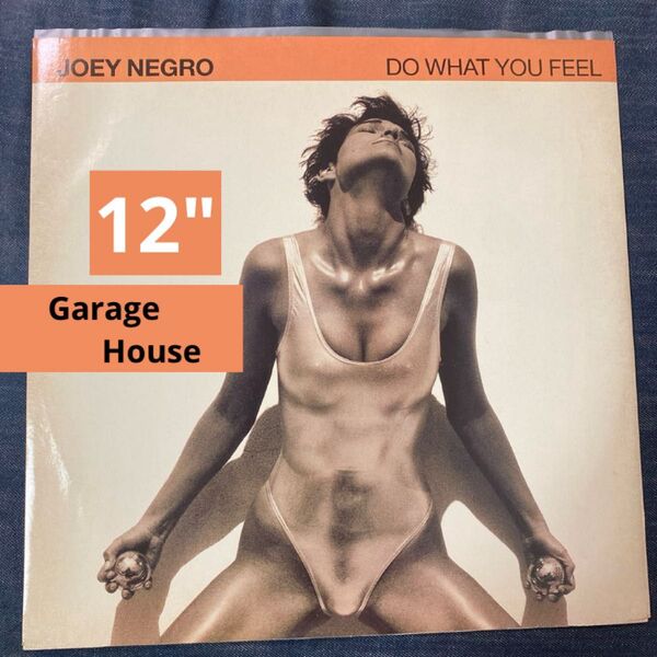 Joey Negro Do What You Feel 12インチ ハウス ジョーイ・ネグロ