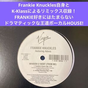 FRANKIE KNUCKLES フランキー・ナックルズ Marshall Jefferson ハウス Larry Leavan