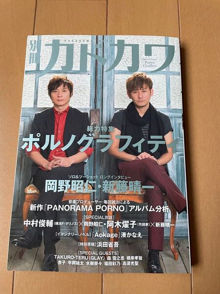 カドカワ 別冊カドカワ 総力特集 ポルノグラフィティ