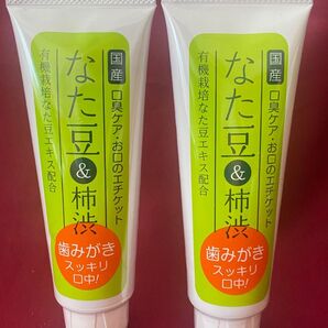 2本★120g入★柿渋なた豆歯磨き粉★柿渋★なた豆★ 歯みがき粉★歯磨き粉★はみがきこ