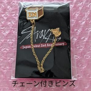 Stray Kids アイエン オンラインくじ チェーン付ピンズ