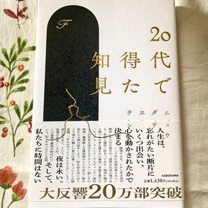 20代で得た知見 チェ・ダニ 未使用