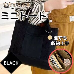 ミニトートバッグ キャンバスバック ブラック 丈夫 収納 大容量 仕切り 可愛い
