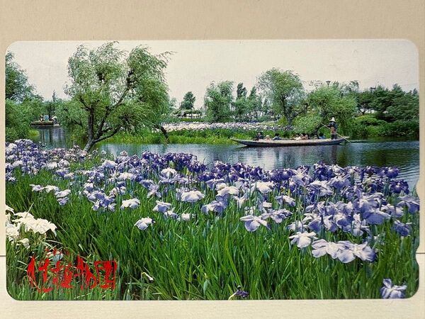 NTTテレホンカード 50度数 未使用 「さわら水生植物園」 水郷佐原水生植物園 千葉県 佐原市 風景 風情 あやめ祭り 花